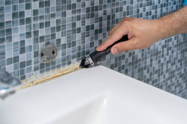Certified Mold Removal in West Liberty, KY
